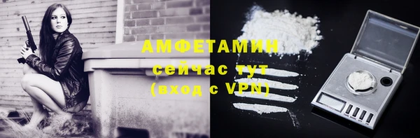 ешки Ельня