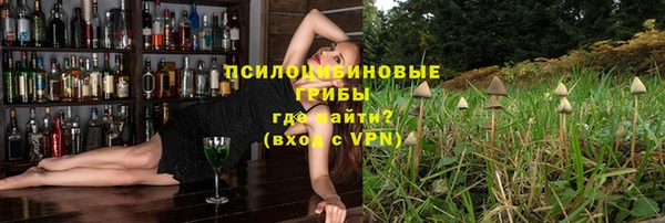 ешки Ельня