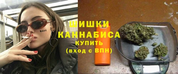 ешки Ельня